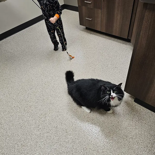 Riverview Animal Hospital — customer photo 5
