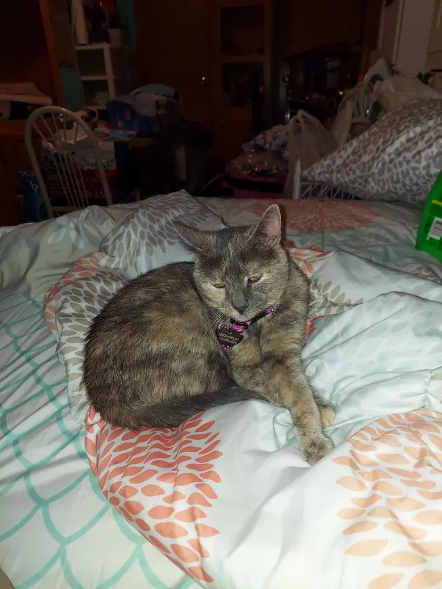 Riverview Animal Hospital — customer photo 11