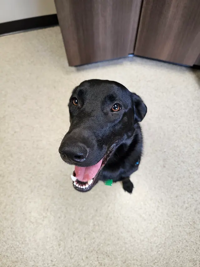 Riverview Animal Hospital — customer photo 8