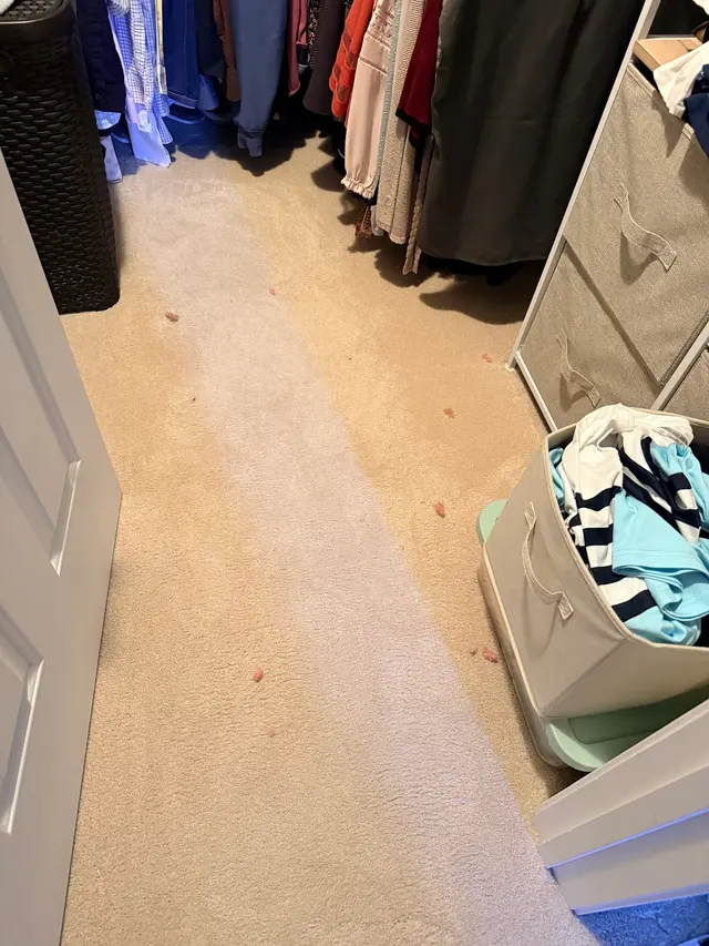 Customer photo from Sara's review