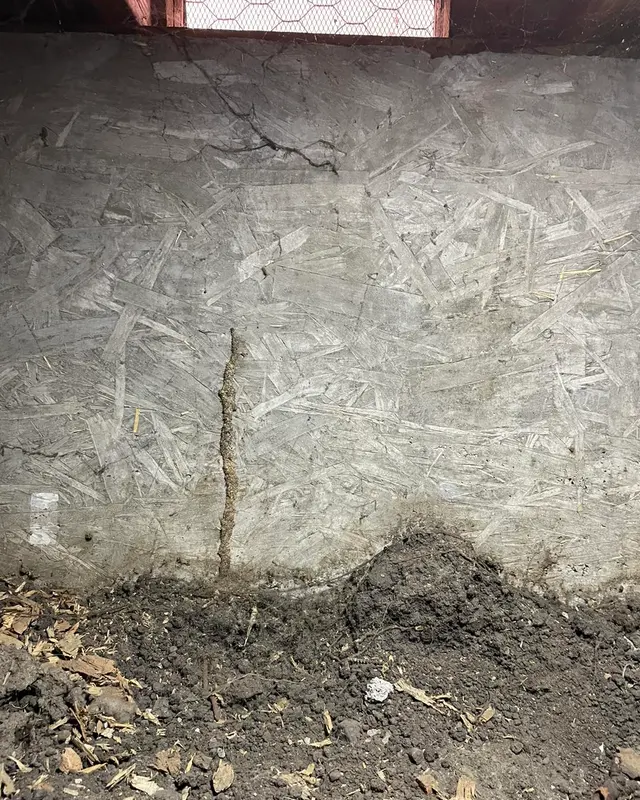 Horizon Termite Control Inc. — photo from the business 12