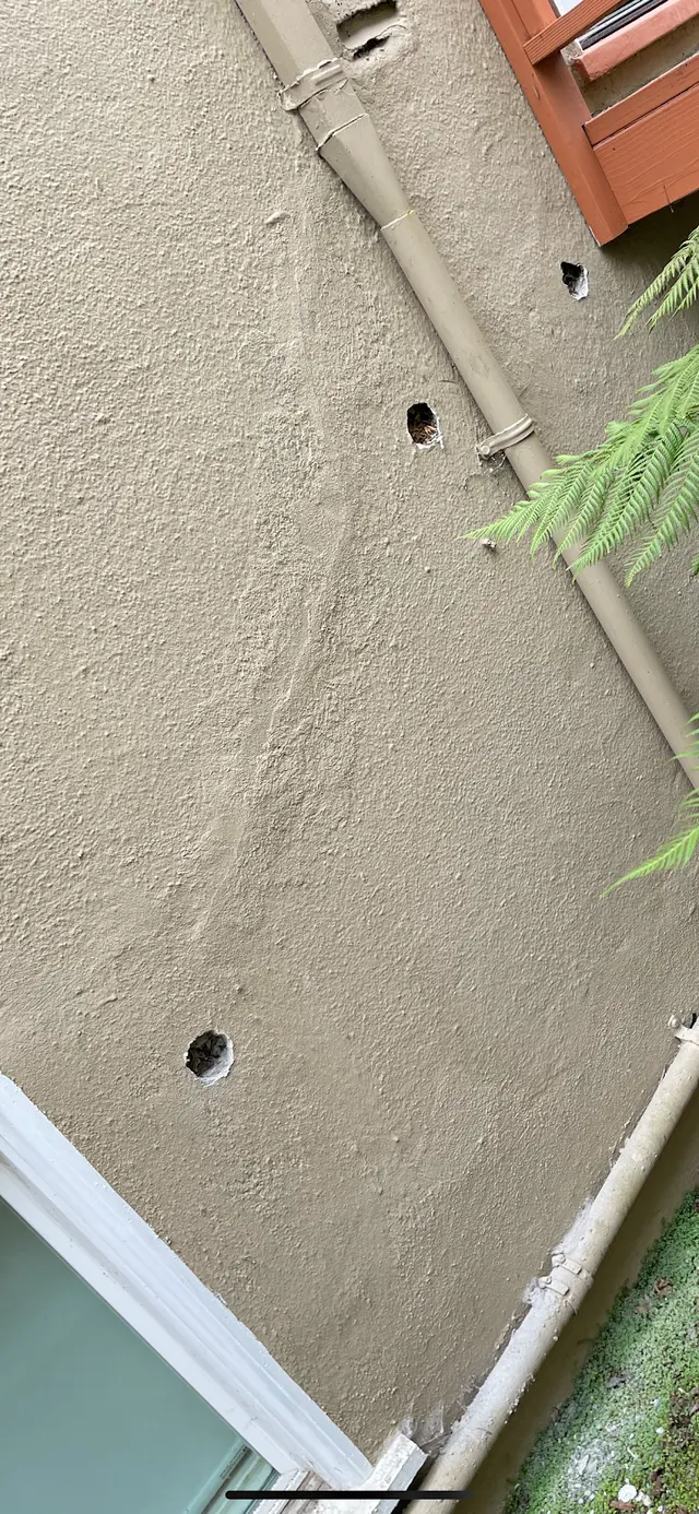Horizon Termite Control Inc. — photo from the business 6