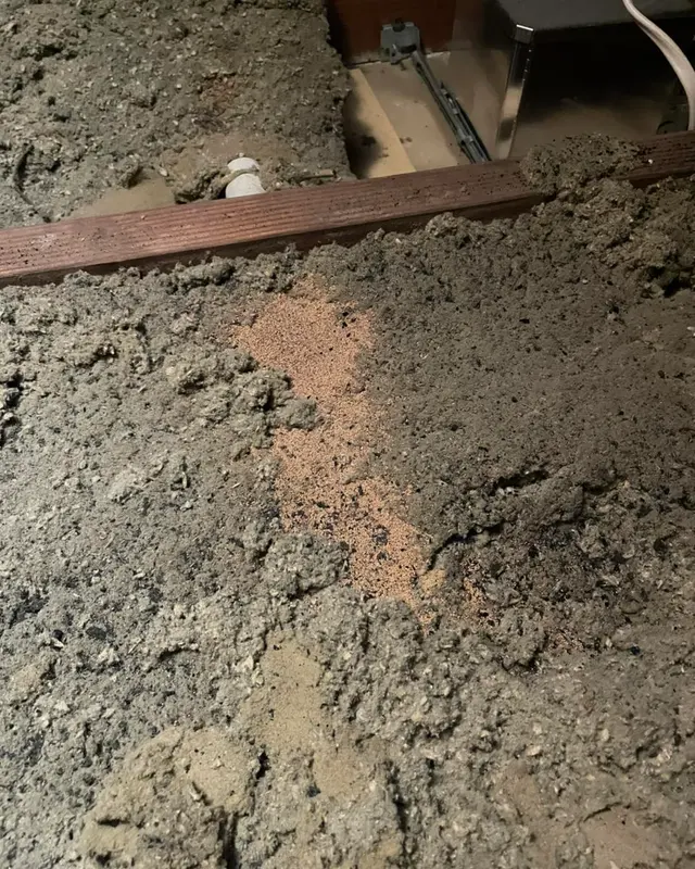 Horizon Termite Control Inc. — photo from the business 11