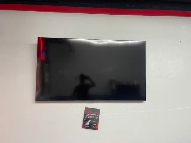 Doms TV Mounting OKC — photo from the business 3
