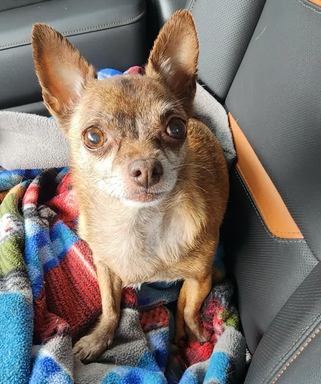 Colfax Animal Hospital — customer photo 7