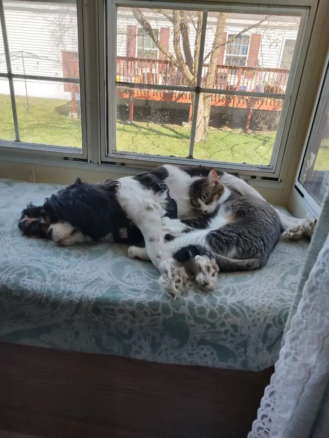 Colfax Animal Hospital — customer photo 11