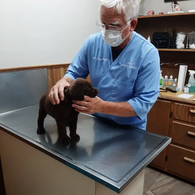 Colfax Animal Hospital — customer photo 3