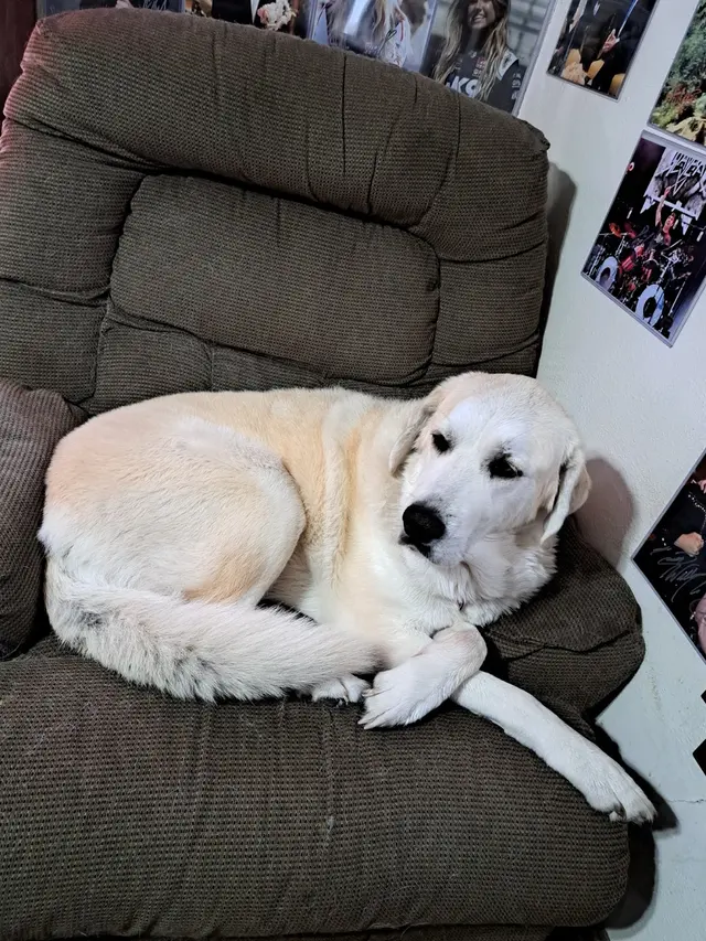 Colfax Animal Hospital — customer photo 8