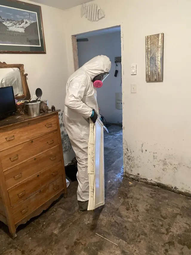 Restoration 1 of Mt. Pocono — photo from the business 2