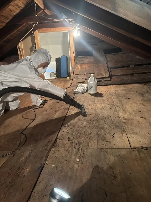 Restoration 1 of Mt. Pocono — photo from the business 8