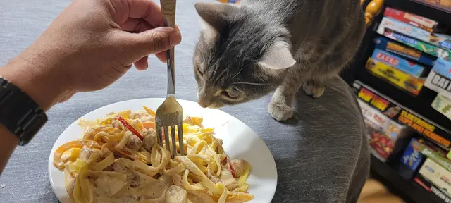 Healthy Pet Altoona — photo from the business 2