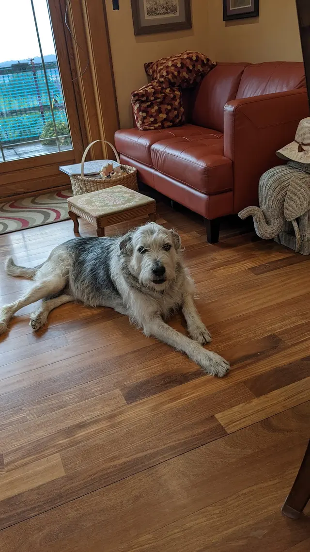 Healthy Pet Altoona — customer photo 6
