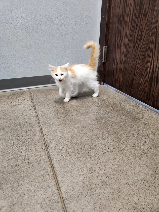 Healthy Pet Altoona — customer photo 5