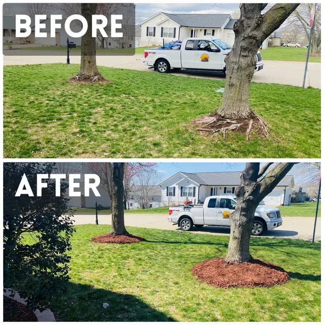 Early Bird Lawn & Landscaping — photo from the business 7