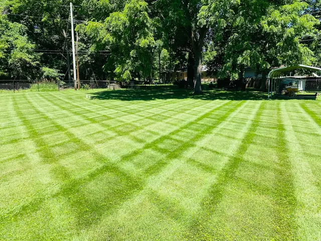 Early Bird Lawn & Landscaping — photo from the business 1