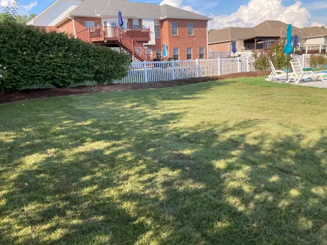 Straightline Landscaping Services — photo from the business 12