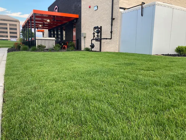 Straightline Landscaping Services — photo from the business 5