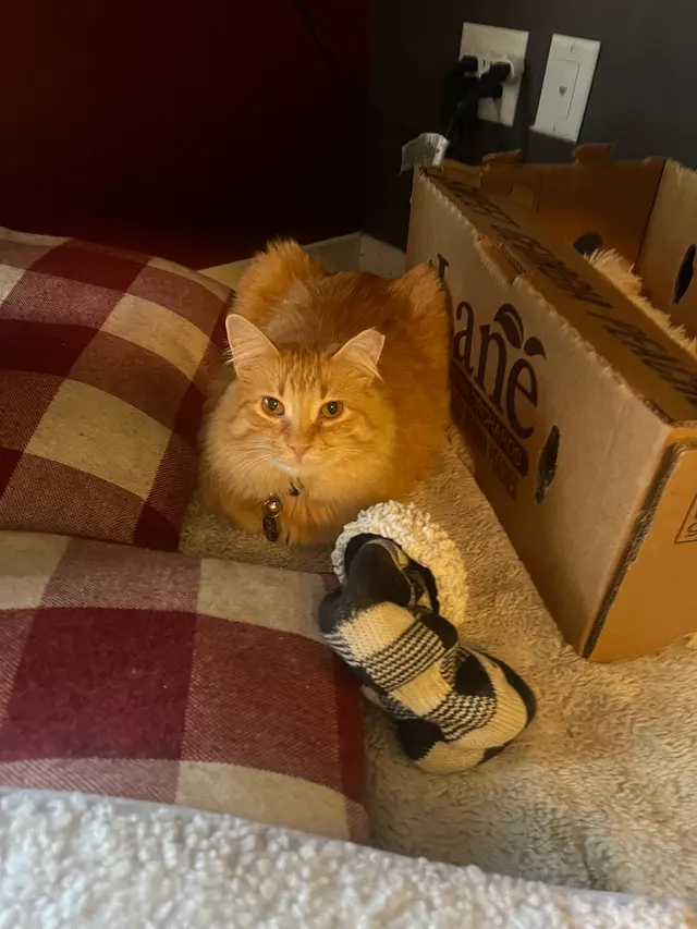 Purple Cat Vet - Eau Claire, WI — customer photo 3