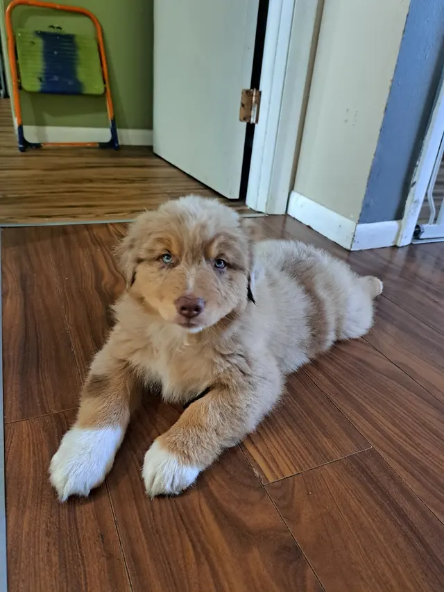 Ark Animal Hospital — customer photo 7