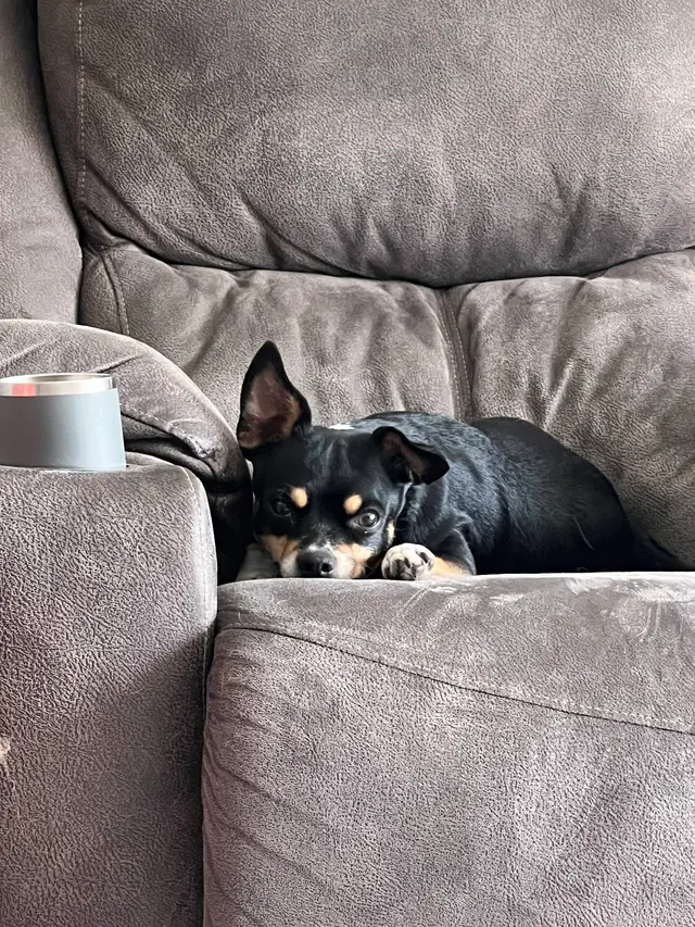 Ark Animal Hospital — customer photo 5