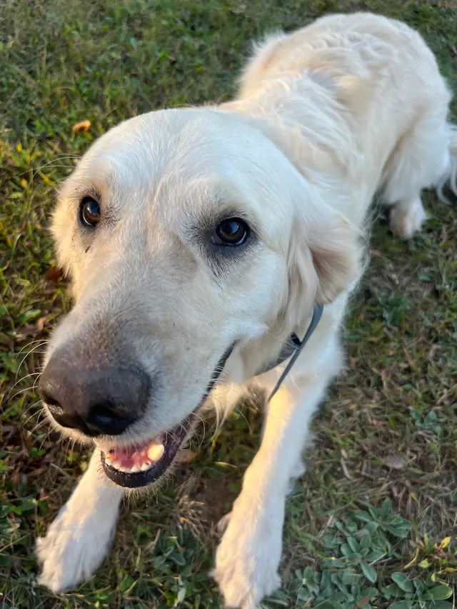 Ark Animal Hospital — customer photo 3