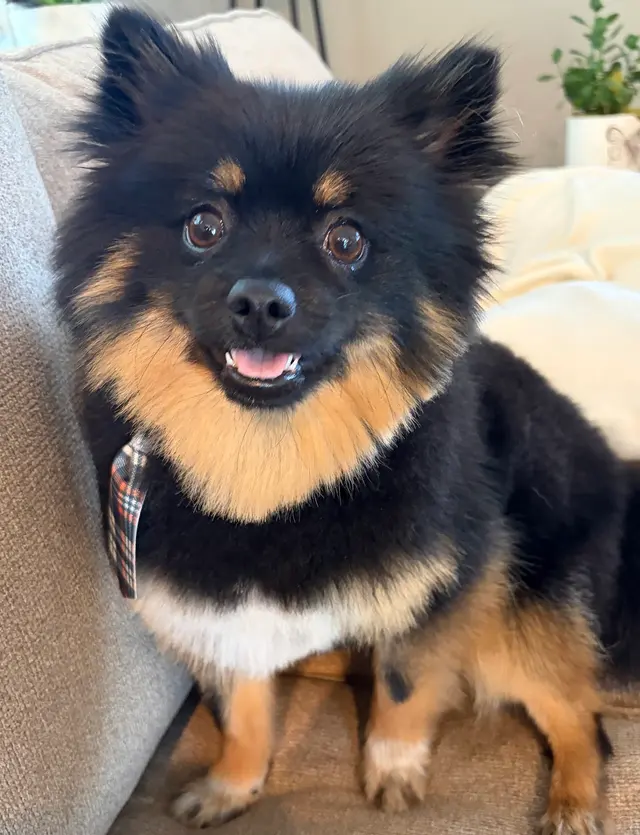 Ark Animal Hospital — customer photo 9