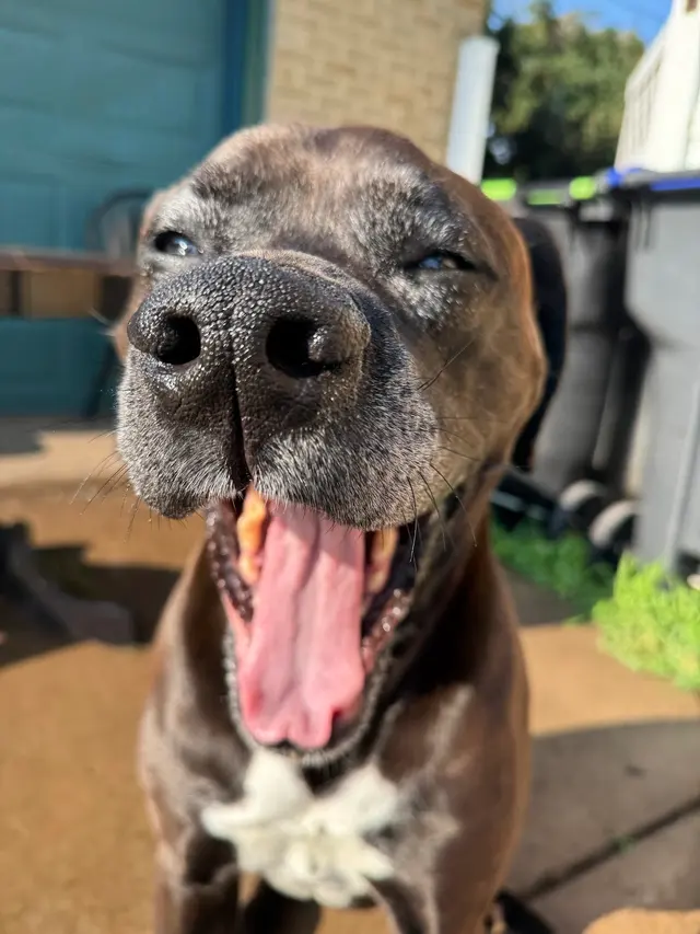 Ark Animal Hospital — customer photo 4