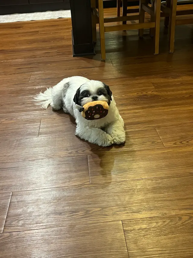 Ark Animal Hospital — customer photo 6