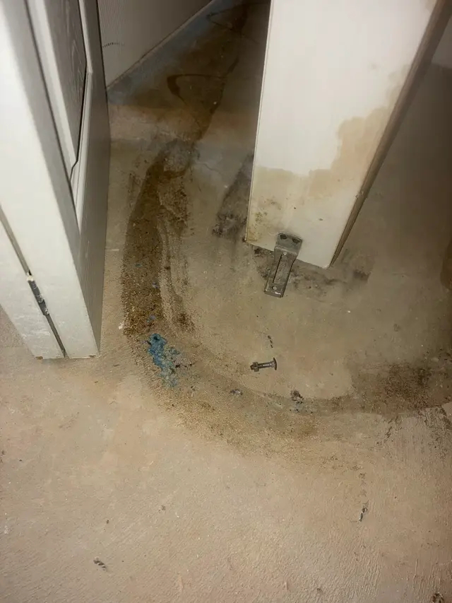 Customer photo from Dale's review