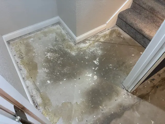 Customer photo of work by SERVPRO of Davenport / Bettendorf, from Dale's review
