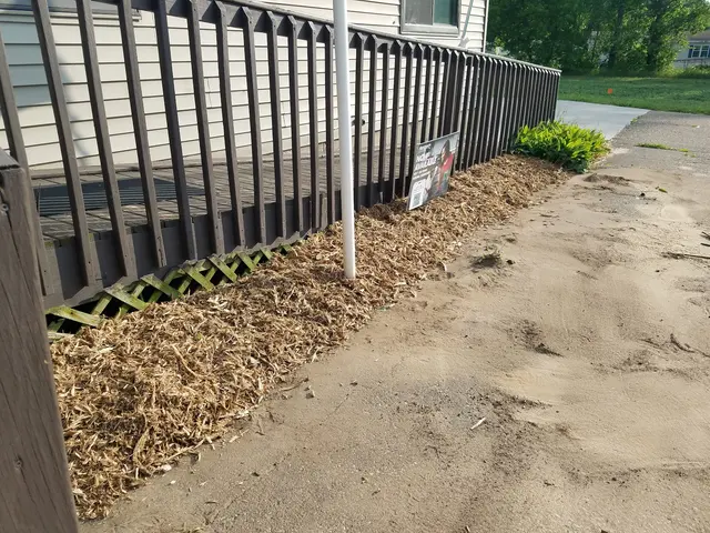 Rock Falls Veterinary Care — customer photo 12