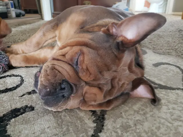 Rock Falls Veterinary Care — customer photo 7