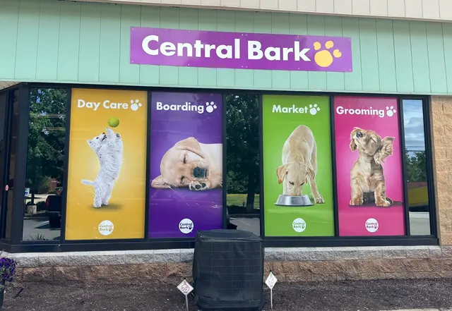 Central Bark Broadview Heights — photo from the business 8