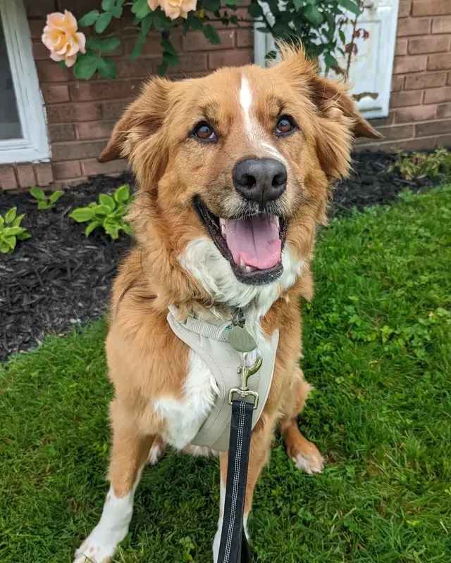 Sarah The Sitter, LLC — photo from the business 2