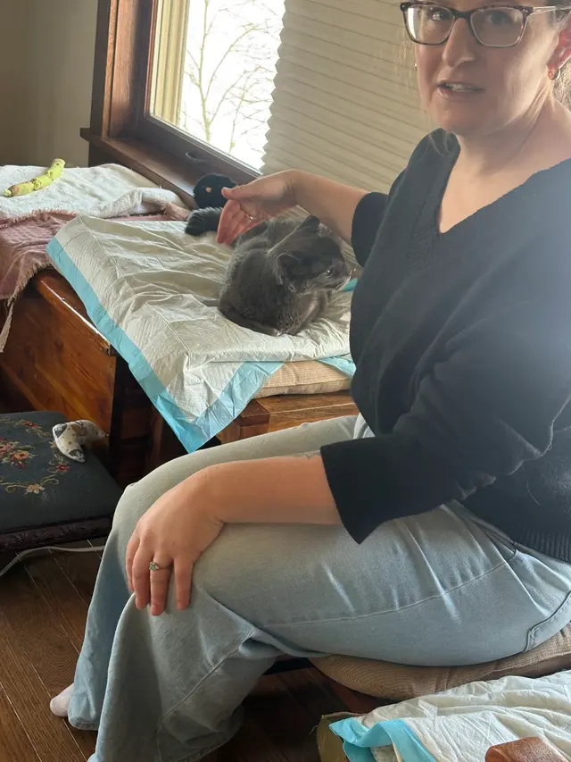 Customer photo of work by Sarah The Sitter, LLC, from ken paradise's review