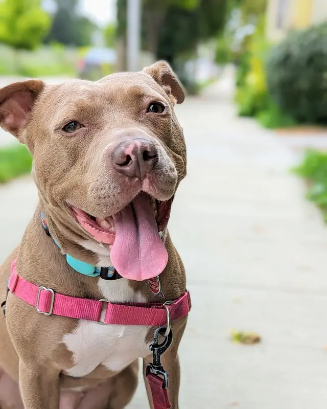 Sarah The Sitter, LLC — photo from the business 5
