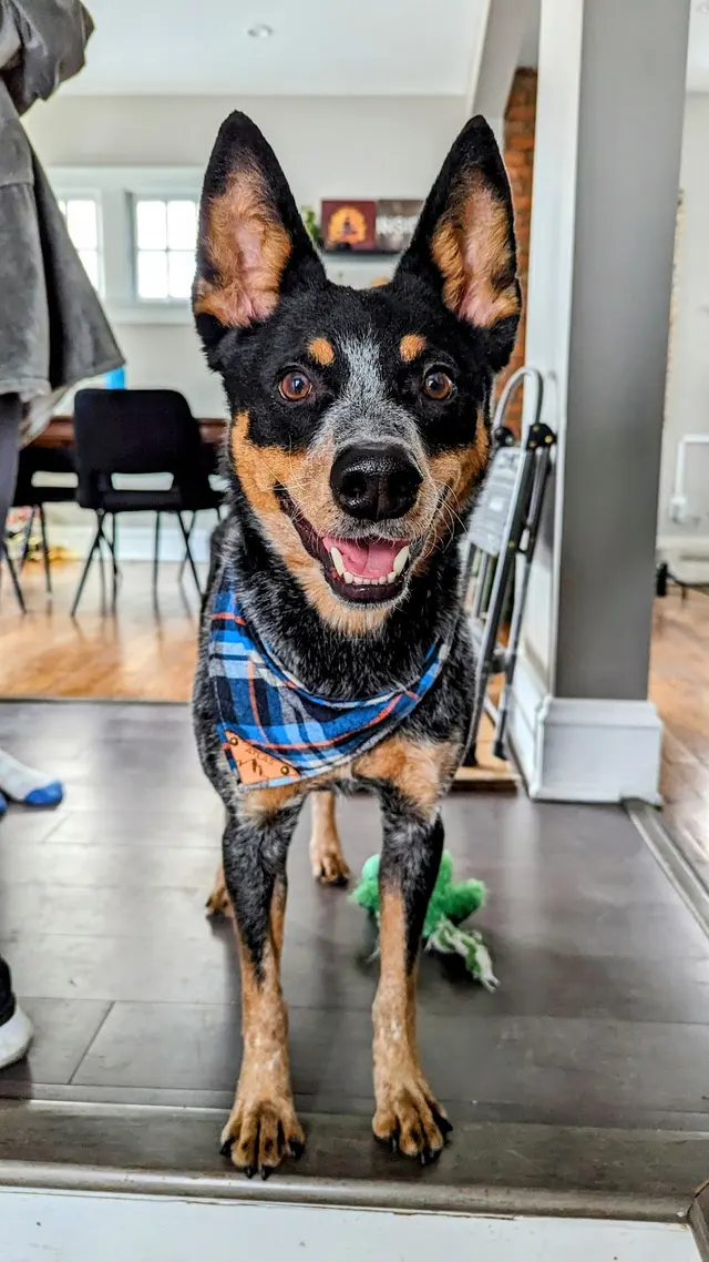 Sarah The Sitter, LLC — photo from the business 11