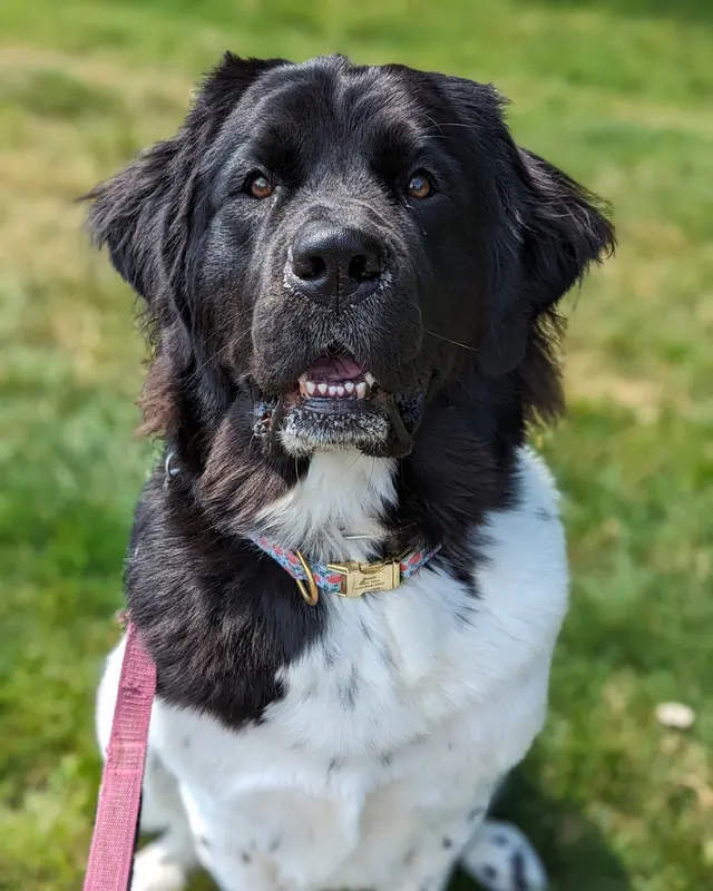 Sarah The Sitter, LLC — photo from the business 10