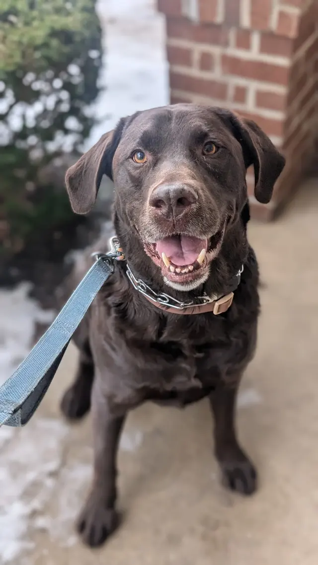 Sarah The Sitter, LLC — photo from the business 3