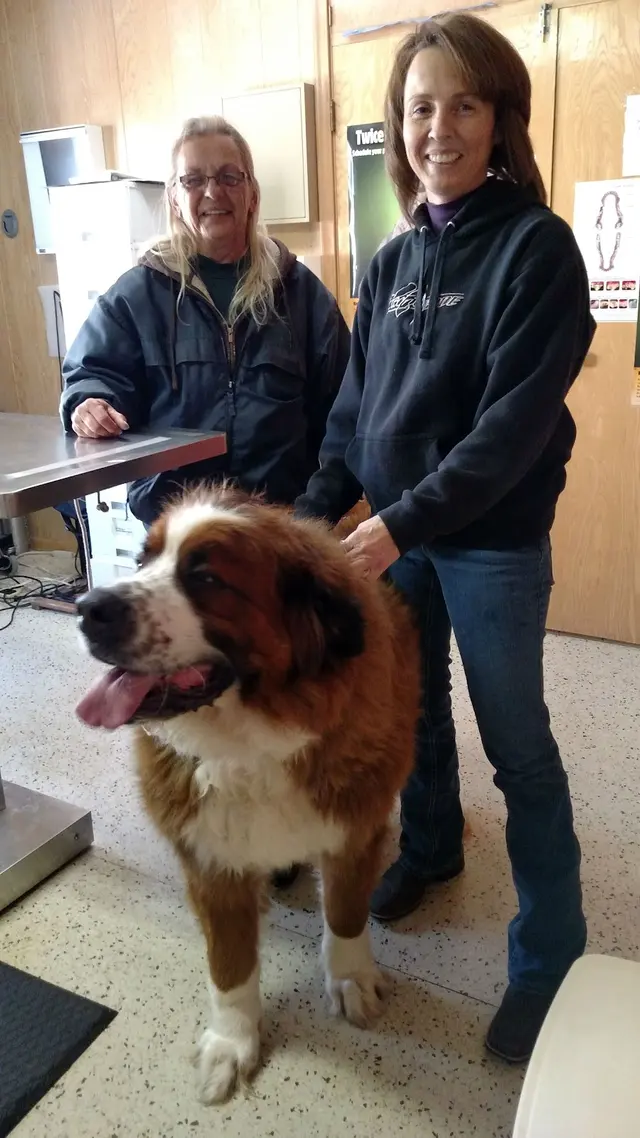 Dr. Reiter's Veterinary Clinic — photo from the business 2