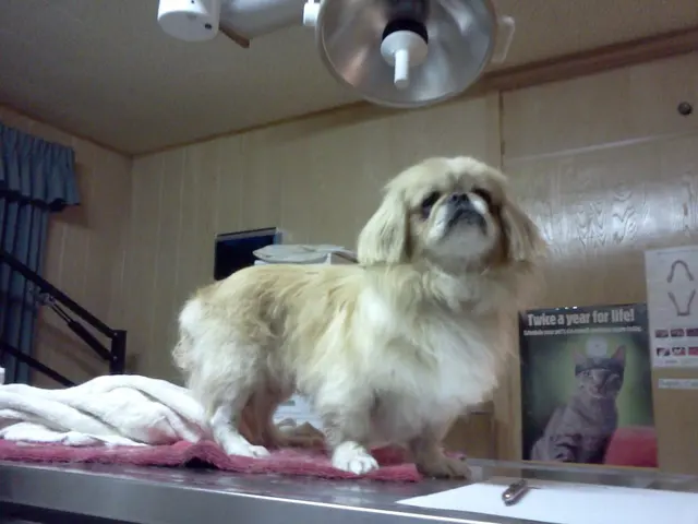 Dr. Reiter's Veterinary Clinic — photo from the business 11
