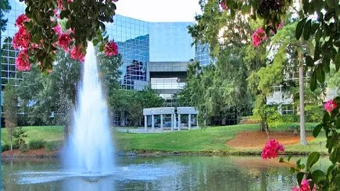 Frederick G. Lehmann, DDS, PA — photo from the business 1