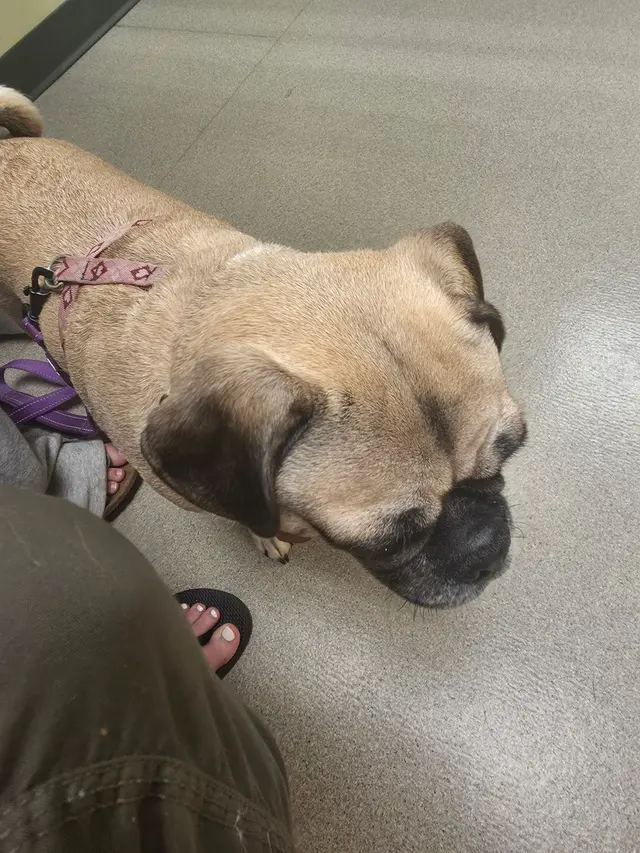 Brakken Veterinary Clinic — customer photo 10