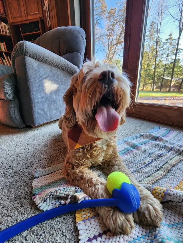 Westgate Animal Hospital Inc — customer photo 4