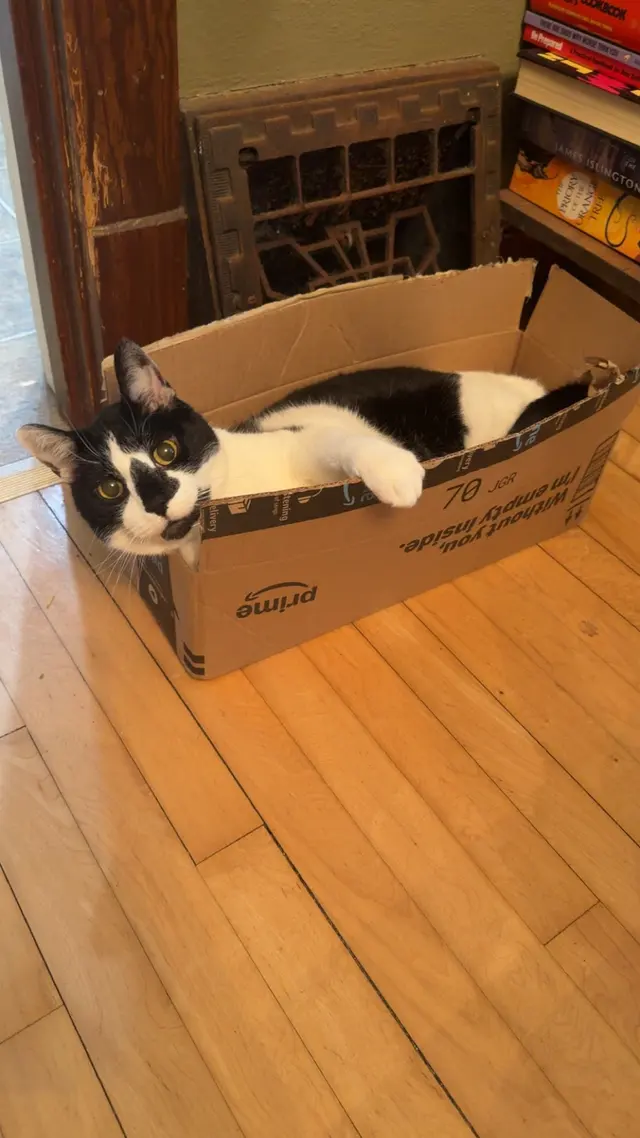 Customer photo of work by Westgate Animal Hospital Inc, from Taylor's review