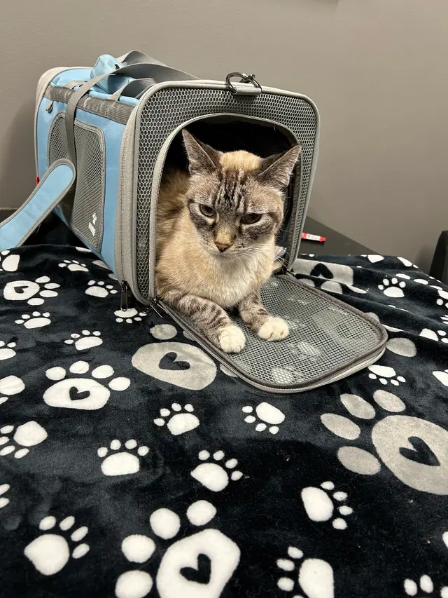 Westgate Animal Hospital Inc — customer photo 12