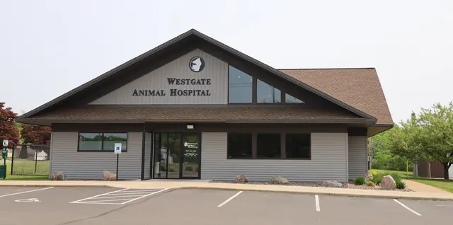 Westgate Animal Hospital Inc — photo from the business 1