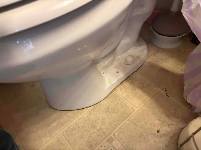 Customer photo from Angel's review