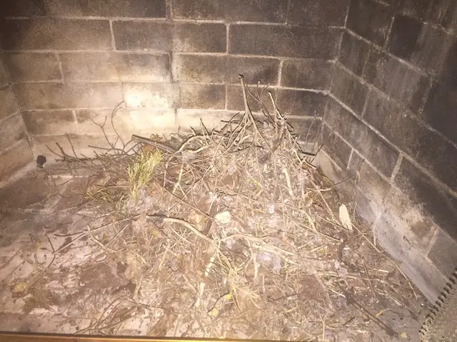 Chimney Pioneer — photo from the business 10