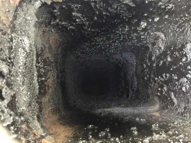 Chimney Pioneer — photo from the business 1